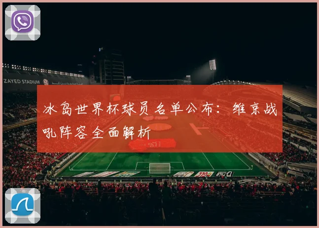 冰岛世界杯球员名单公布：维京战吼阵容全面解析