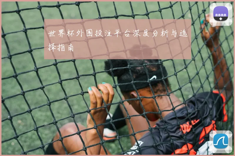 世界杯外围投注平台深度分析与选择指南