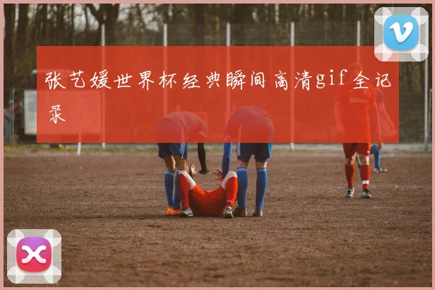 张艺媛世界杯经典瞬间高清gif全记录