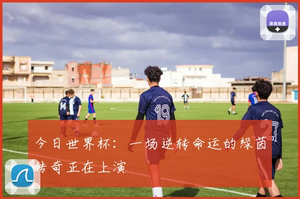 今日世界杯：一场逆转命运的绿茵传奇正在上演