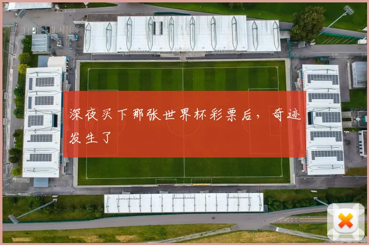 深夜买下那张世界杯彩票后,奇迹发生了
