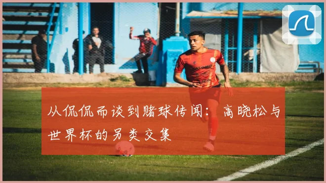 从侃侃而谈到赌球传闻：高晓松与世界杯的另类交集