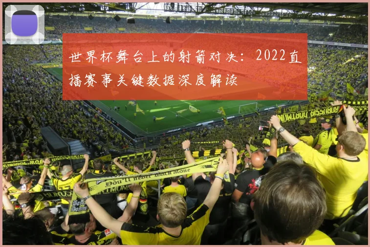世界杯舞台上的射箭对决:2022直播赛事关键数据深度解读