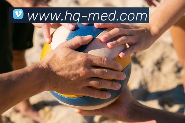 欧宝app官网入口服务体系